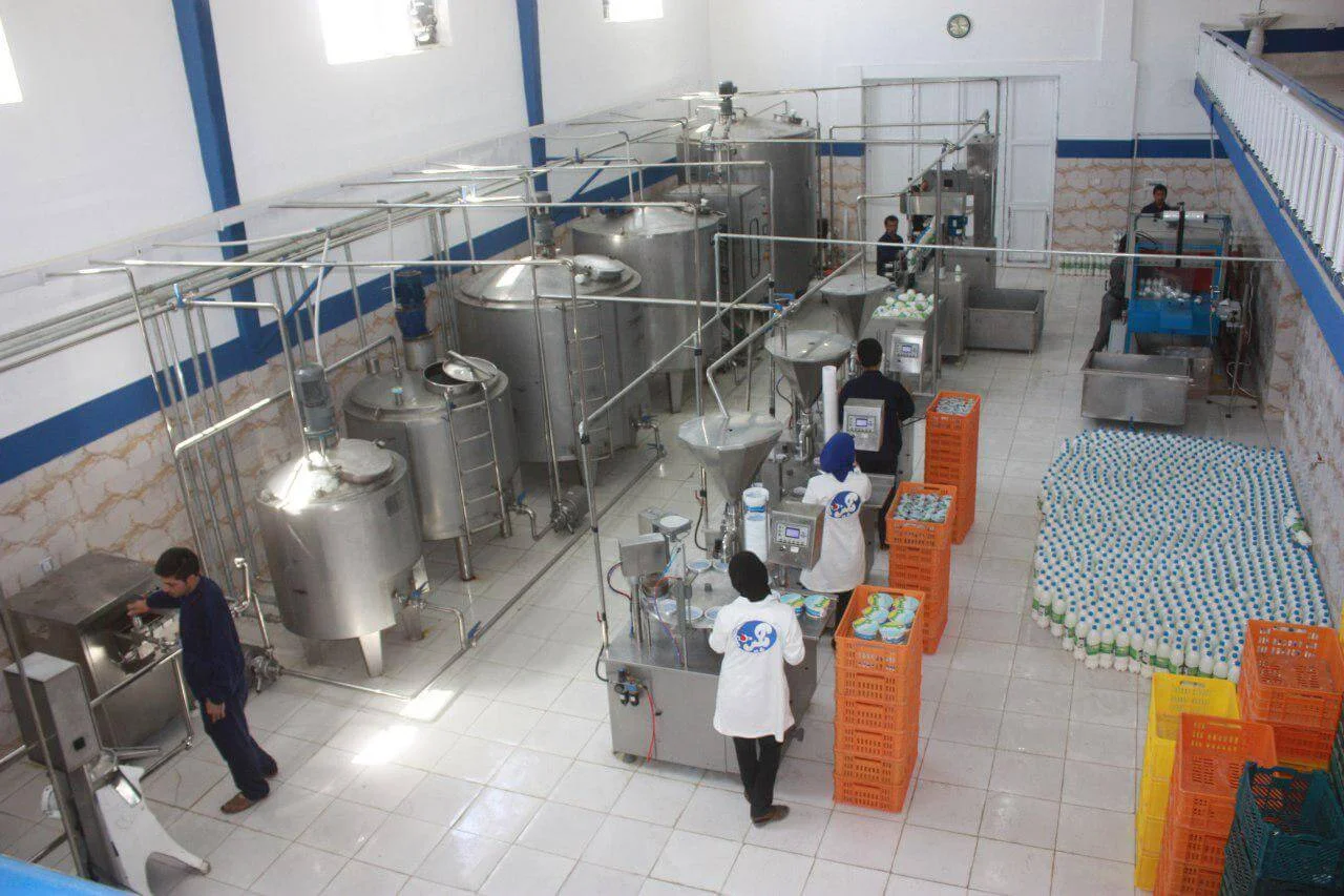احداث خط تولید محصولات لبنی و ماست بندی